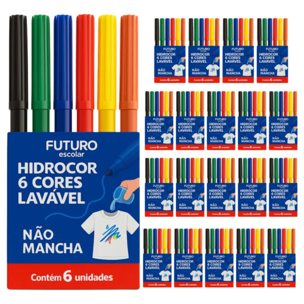 Canetinha hidrocor 6 cores futuro